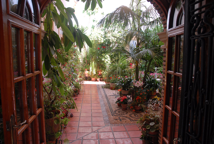 200705 patios y balcones10